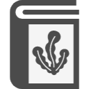 Observation by Ferry